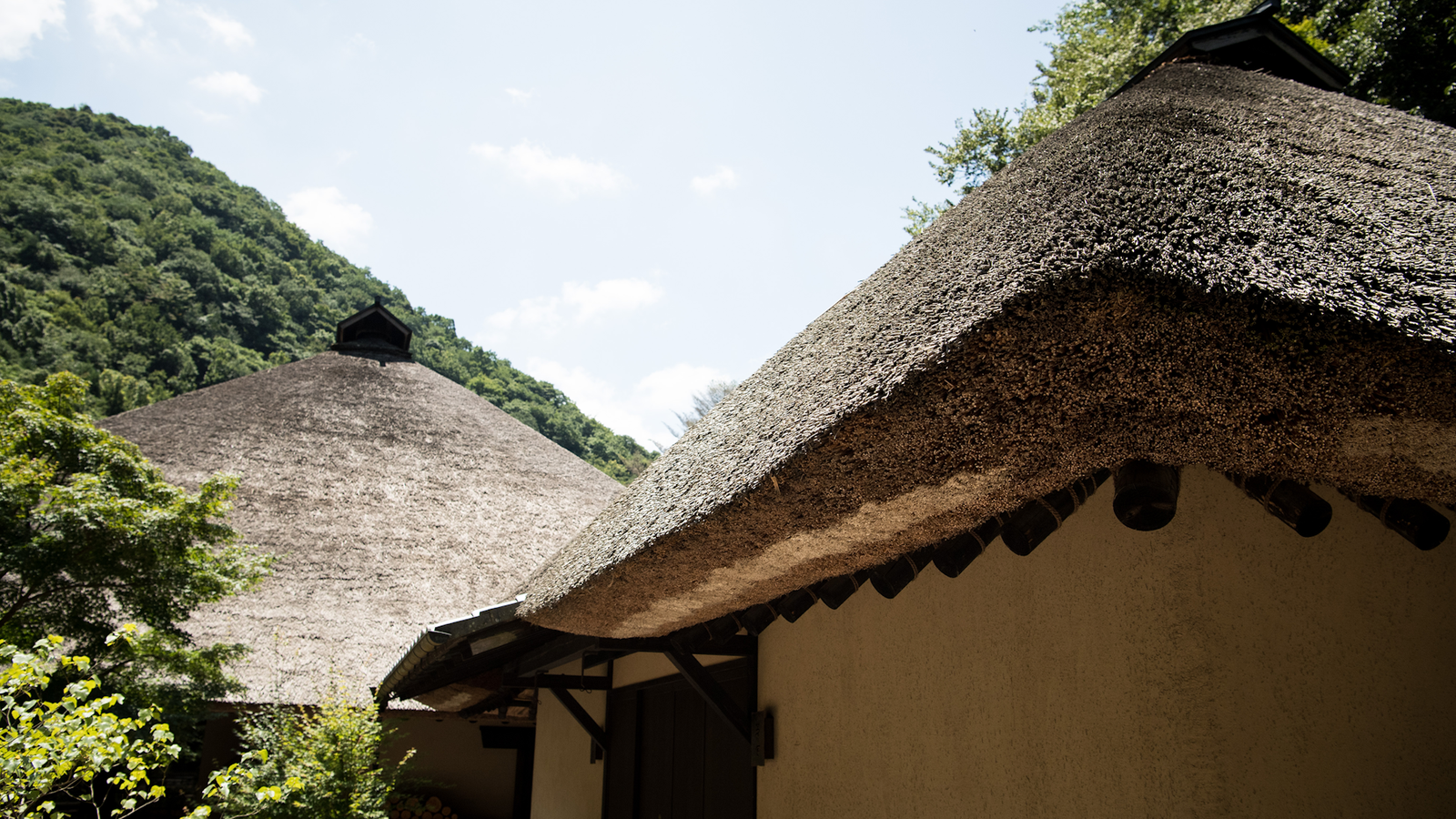 Part Two: Sharing Kyushu’s Food Culture — The Opening of a Thatched-Roof Restaurant.