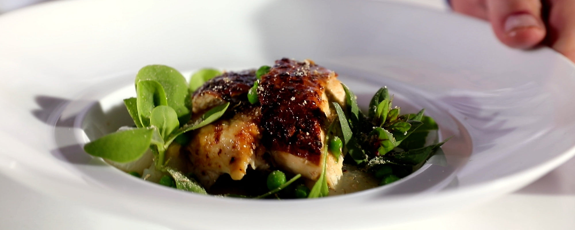 Roast Chicken with Turnip