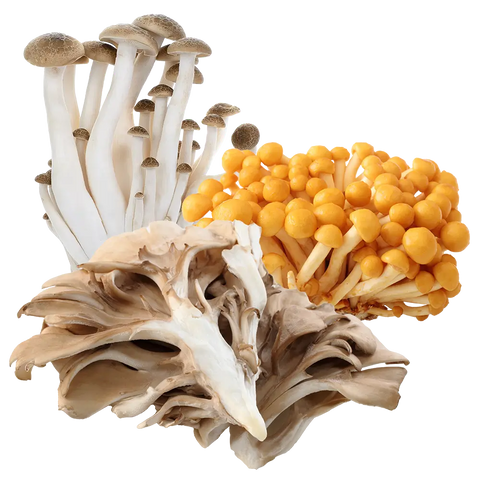 Deep, balanced umami from dashi and miso.