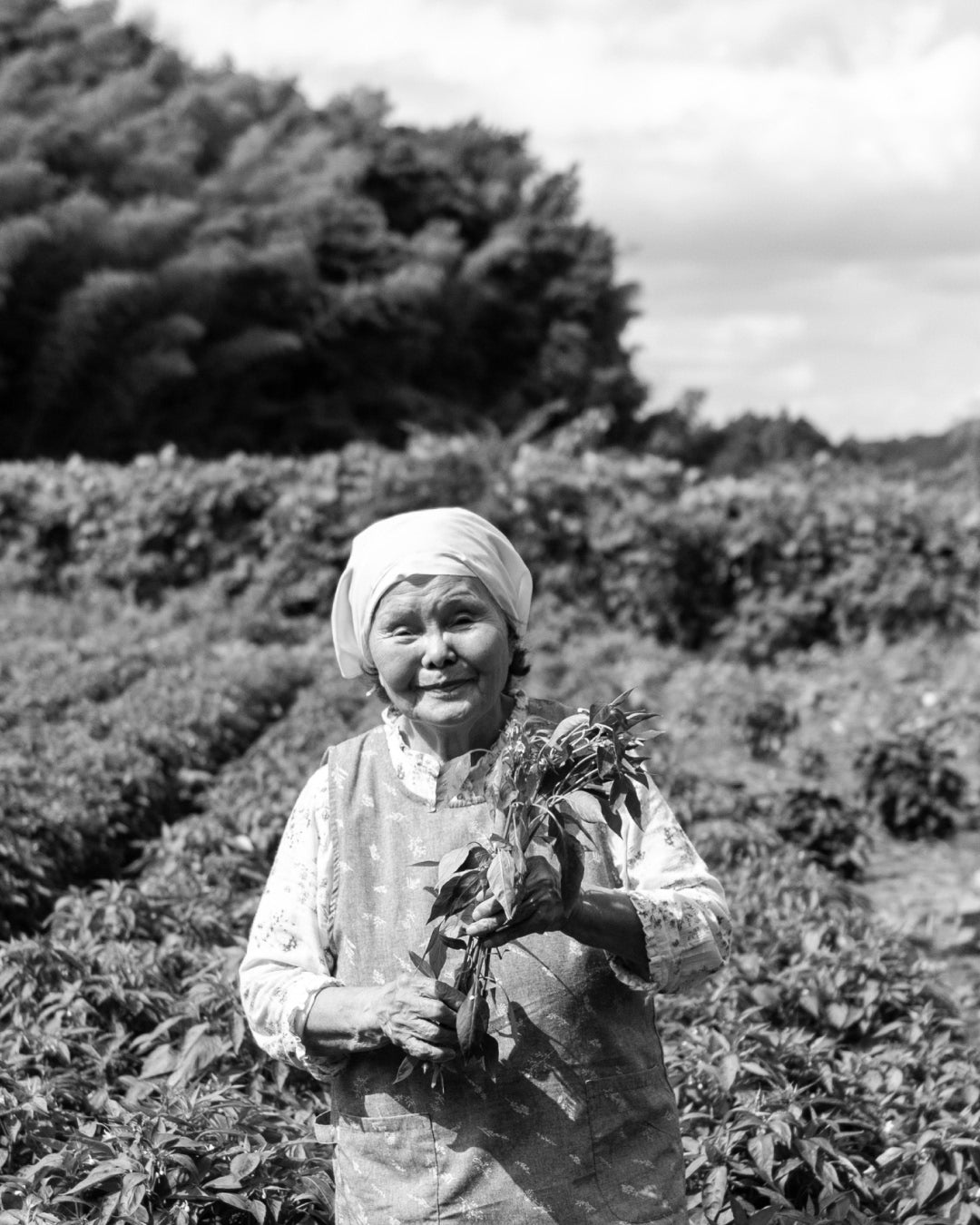 The People Behind Kayanoya's Deliciousness: Grandma Nagano