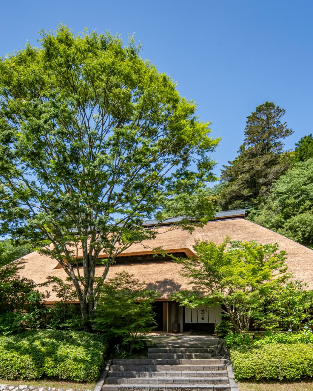 Re-Thatching the Roof at Oryori Kayanoya Dining After 20 Years (Part 1)