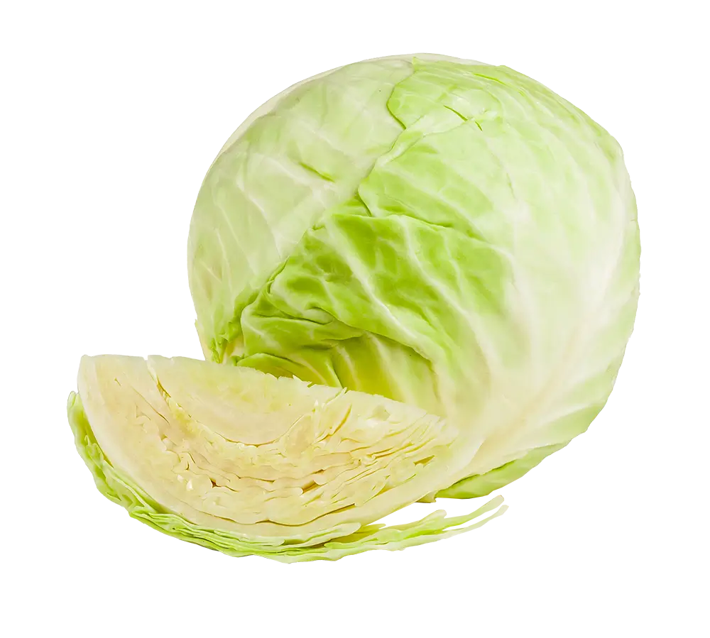 Cabbage