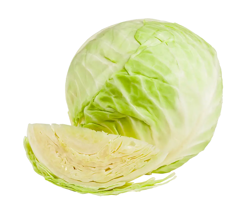Cabbage