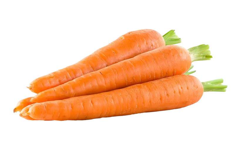 Carrot