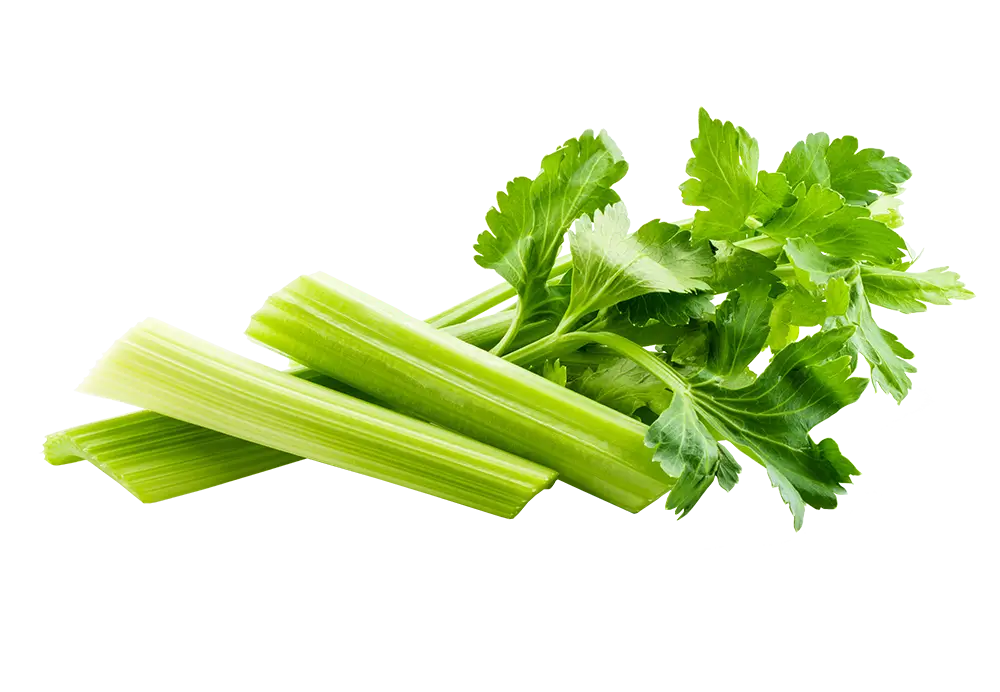 Celery