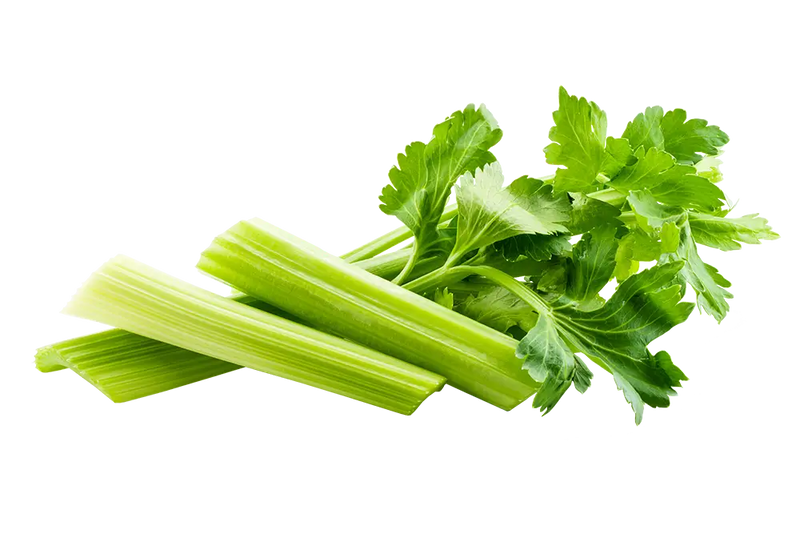 Celery