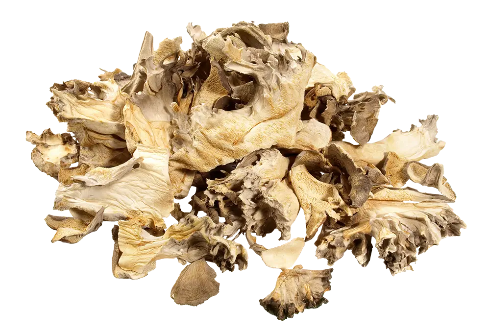 Maitake Mushroom