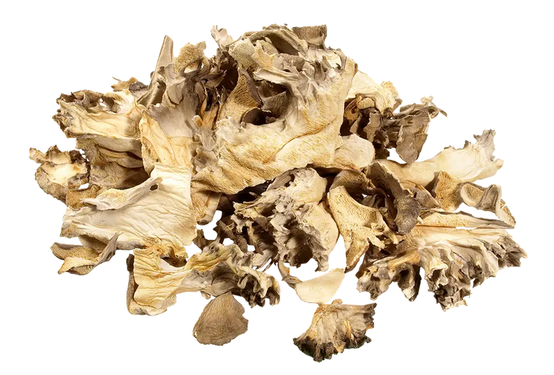 Maitake Mushroom