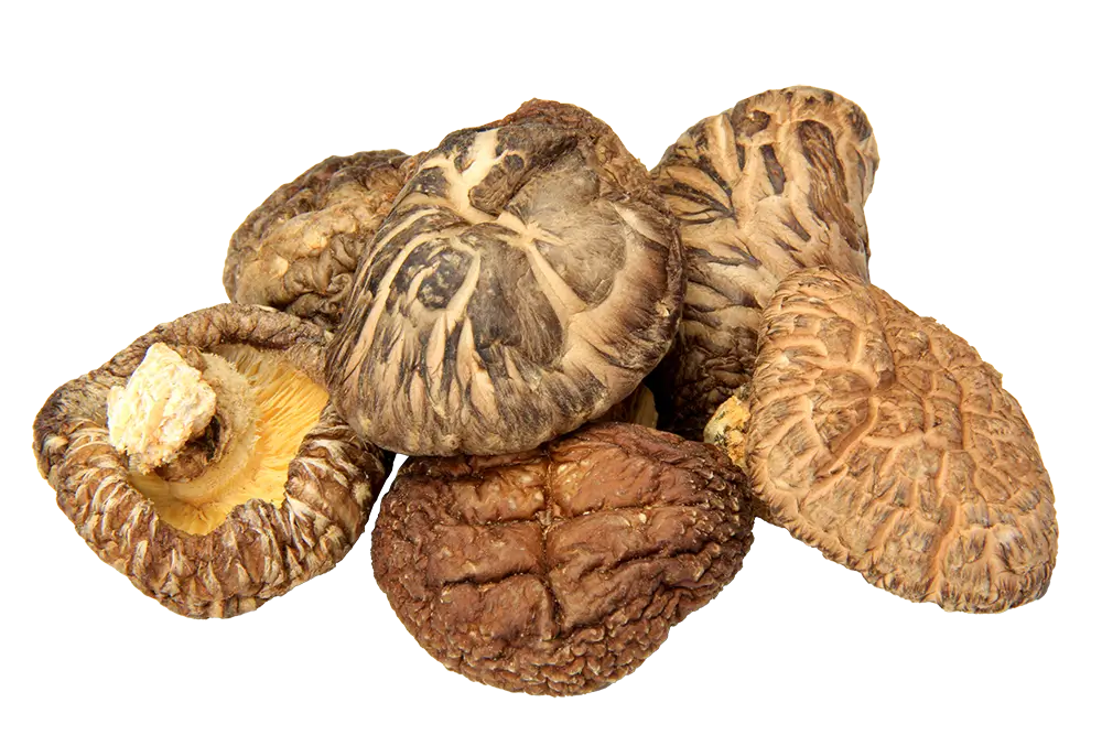 Dried Shiitake Mushroom