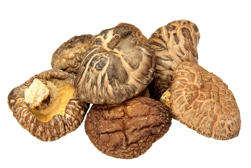 Dried Shiitake Mushroom