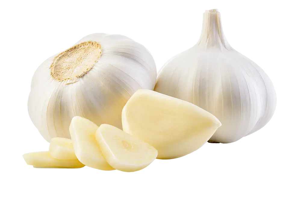 Garlic