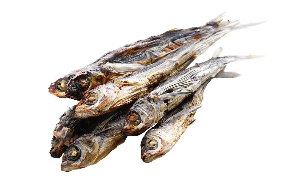 Roasted Flying Fish (Ago)