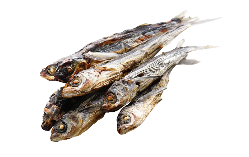 Roasted Flying Fish (Ago)