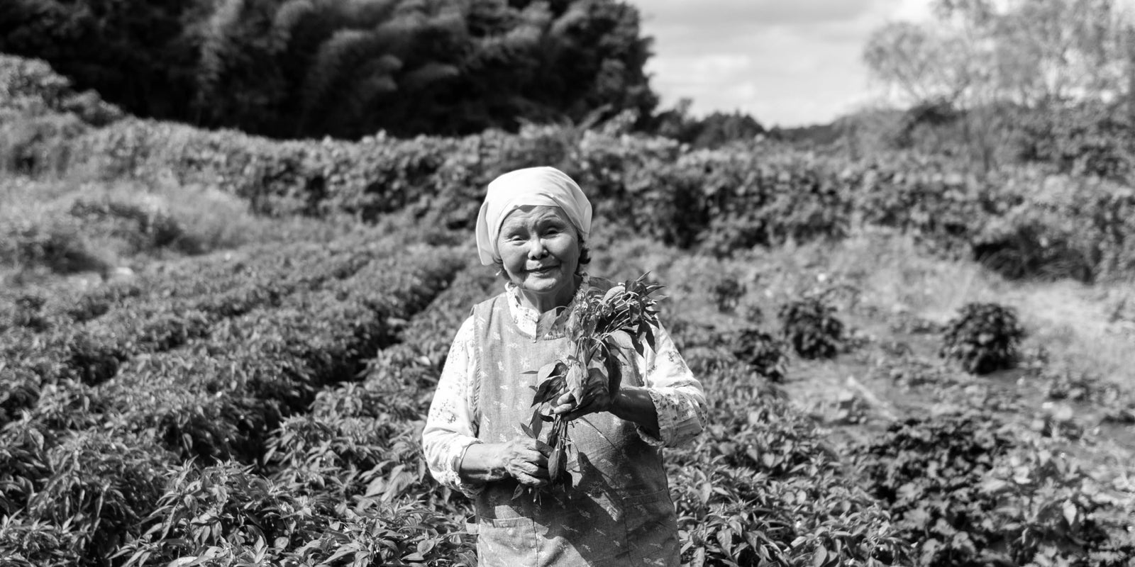 Black-and-white portrait of Grandma Nagano standing in a field, holding freshly harvested herbs.