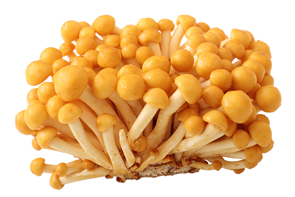 Nameko Mushroom