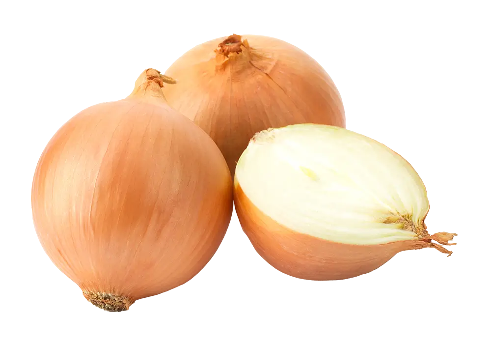 Onion