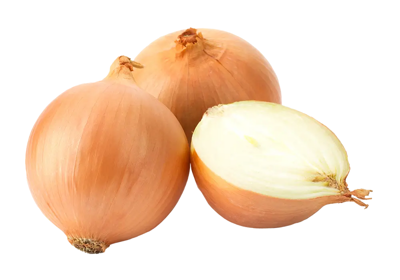 Onion