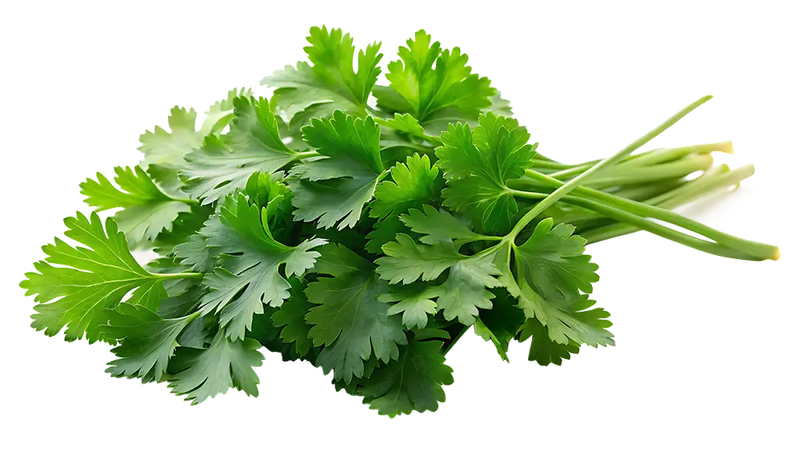 Parsley