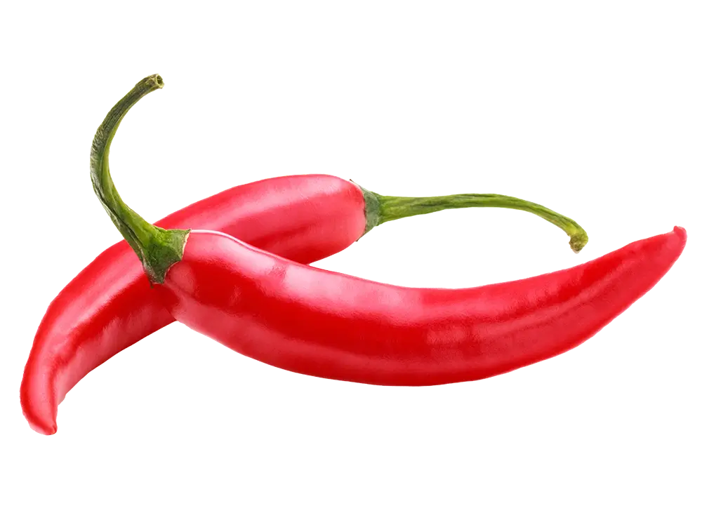 Red Chili Pepper