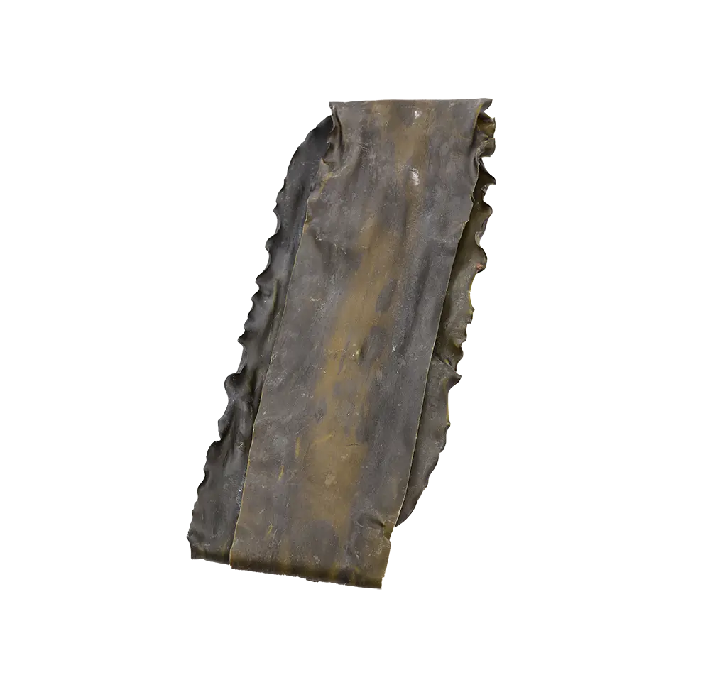 Dried Kelp (Rishiri Kombu)