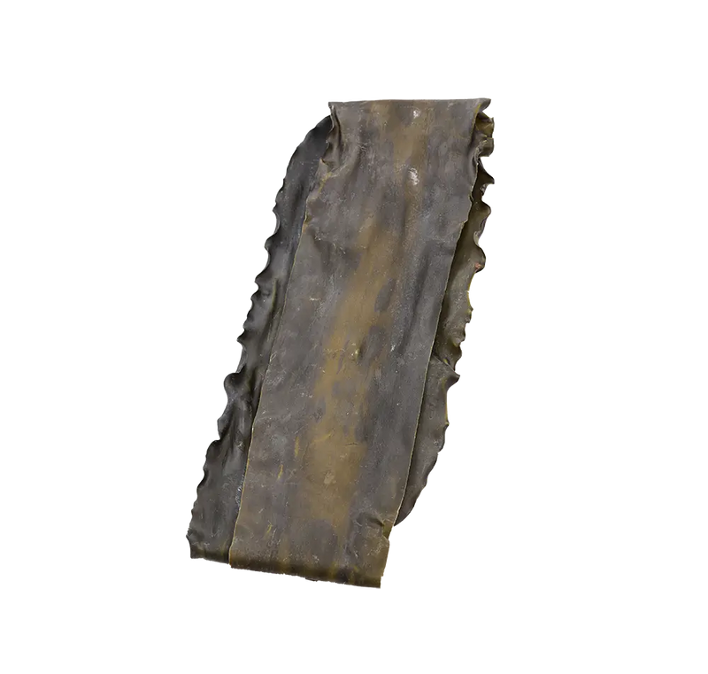 Dried Kelp (Rishiri Kombu)