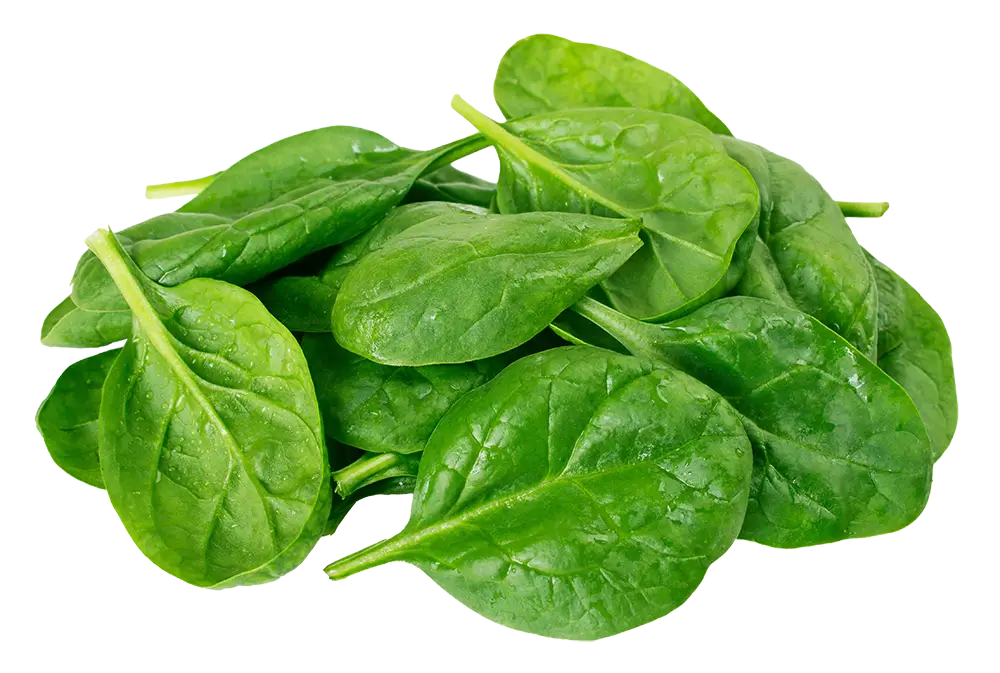 Spinach