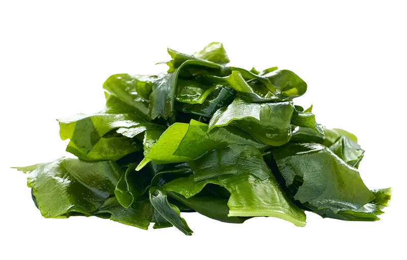 Wakame