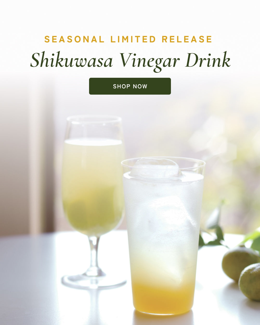 Kayanoya Seasonal Shikuwasa Vinegar Drink Concentrate made with whole Okinawan shikuwasa citrus.