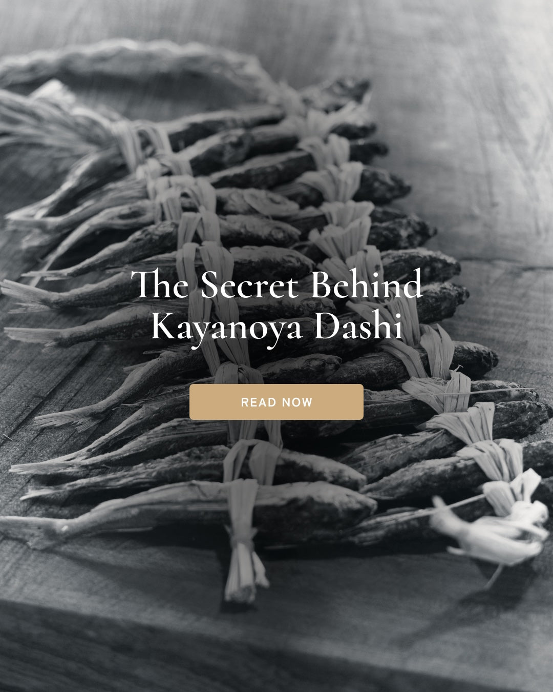 Traditional Japanese roasted ago (flying fish) used to create the rich umami flavor of Kayanoya Original Dashi.