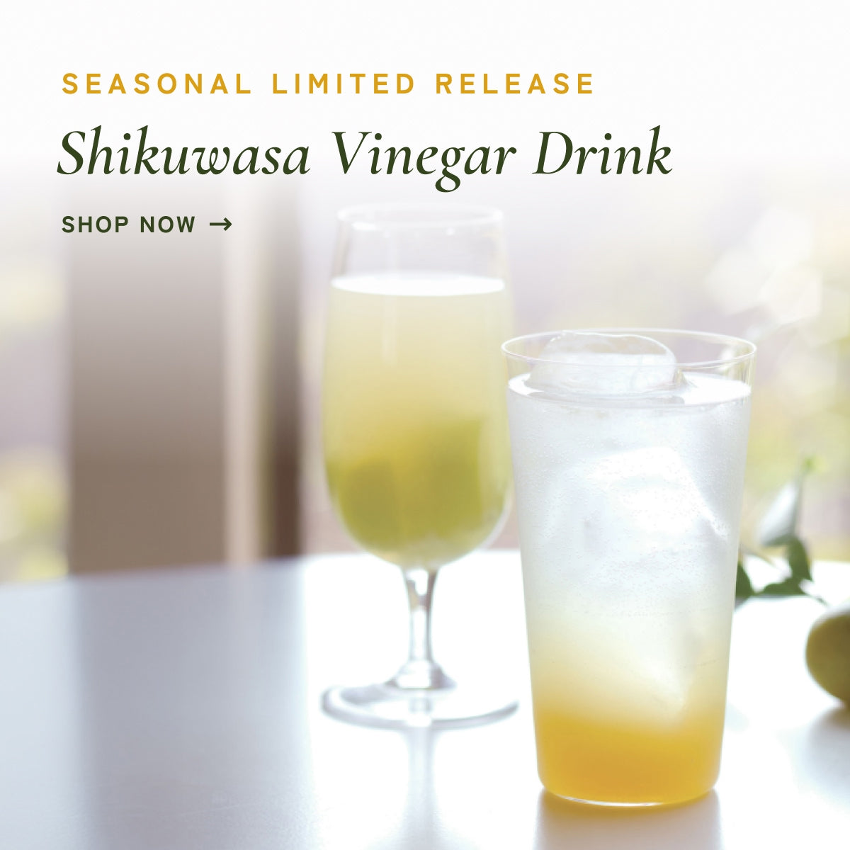Kayanoya Yuzu Vinegar Drink Concentrate 150 ml - Kayanoya USA