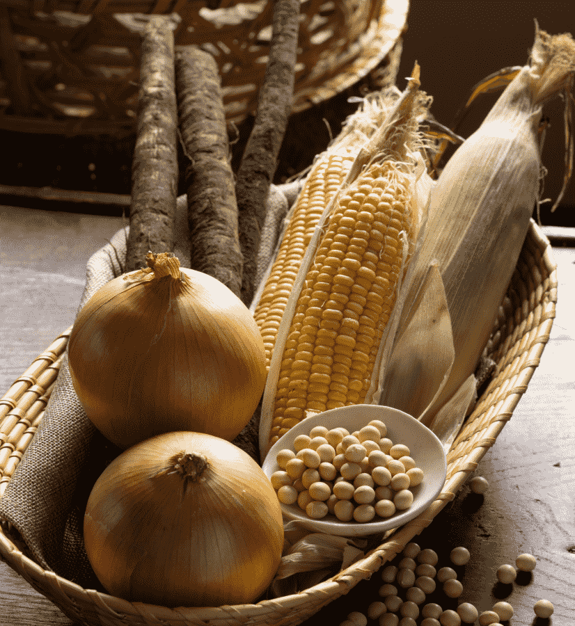 Corn, burdock root, onion, and soybeans arranged in a woven basket, highlighting the ingredients used in Corn Dashi.